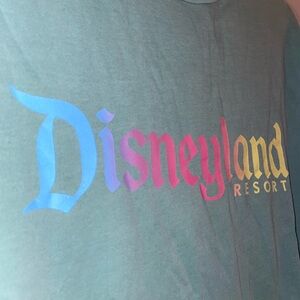 Unisex Sage Green Disneyland Pride Rainbow Shirt S (fits women XL)